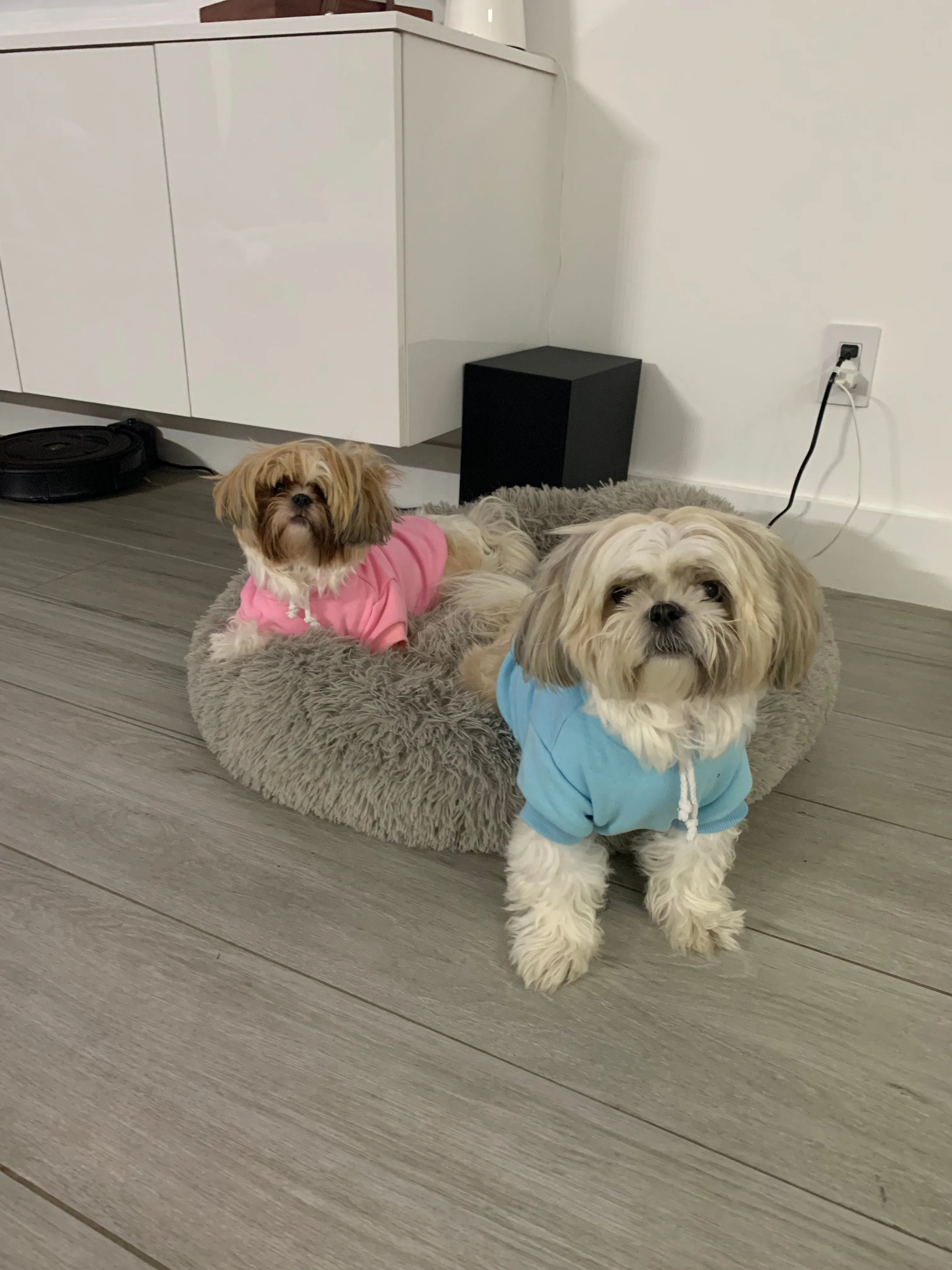 High-Quality Soft Solid-Color Hoodies for Pets - Durable and Comfortable