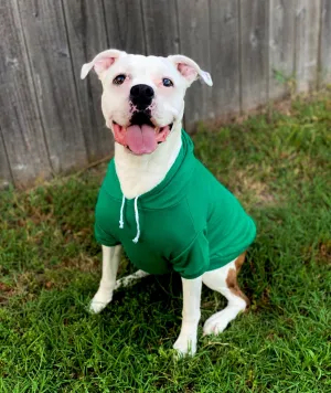 High-Quality Soft Solid-Color Hoodies for Pets - Durable and Comfortable